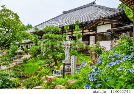 茨城 雨引観音 紫陽花の咲く奥の院 茨城 雨引観音 紫陽花の咲く奥の院 124065746