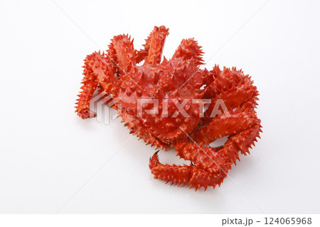 ボイル花咲蟹 白バック ボイル花咲蟹 白バック 124065968