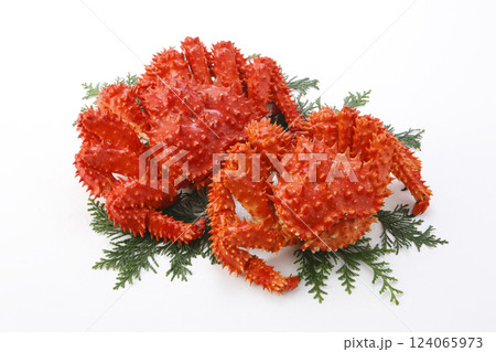 ボイル花咲蟹　白バック 124065973