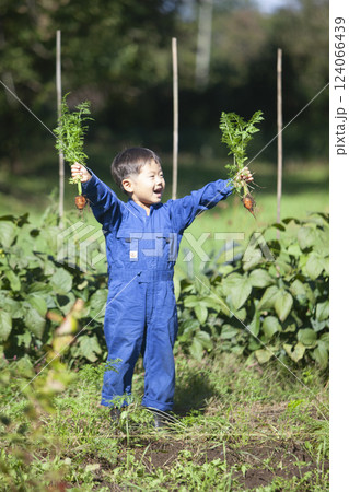 畑で収穫する男の子 畑で収穫する男の子 124066439