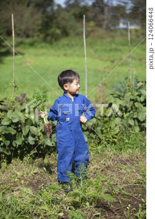 畑で収穫する男の子 畑で収穫する男の子 124066448