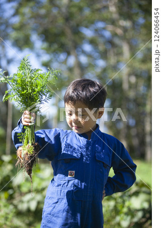 畑で収穫する男の子 124066454