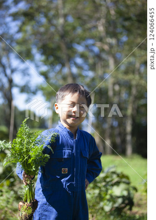 畑で収穫する男の子 124066455