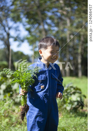 畑で収穫する男の子 畑で収穫する男の子 124066457