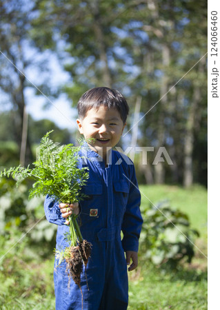 畑で収穫する男の子 124066460