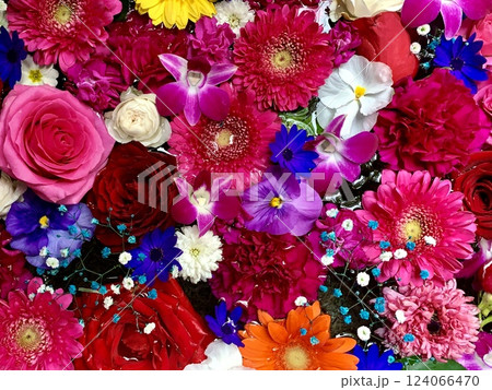 3月の花手水(薔薇・ガーベラ・カーネーション・デンファレ・かすみ草)〈菅生神社/愛知県岡崎市〉 124066470