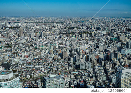 サンシャイン60展望台から見える東京の街並み 124066664