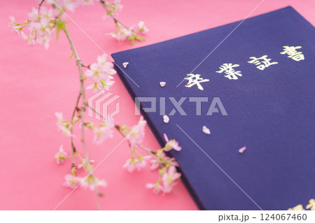 卒業証書と桜 124067460