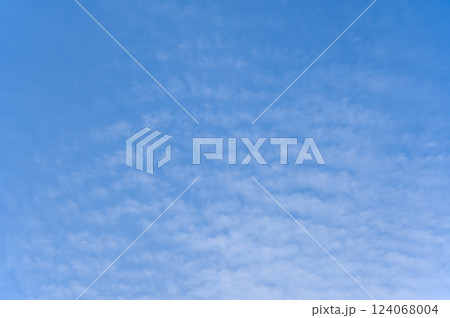 青空の風景素材【いわし雲】 青空の風景素材【いわし雲】 124068004