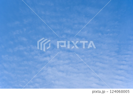 青空の風景素材【いわし雲】 124068005