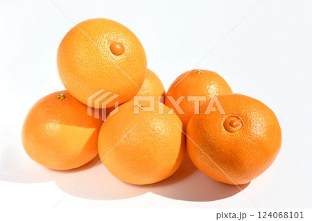 柑橘類(はるあいか) 柑橘類(はるあいか) 124068101