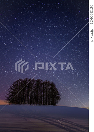 北海道美瑛町　「マイルドセブンの丘」雪と夜空【躍動】 124068120