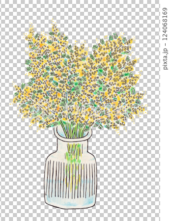 Mimosa in a vase Mimosa in a vase 124068169