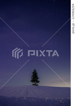 北海道美瑛町 「名のない木」雪と夜空【縦】 北海道美瑛町 「名のない木」雪と夜空【縦】 124068204