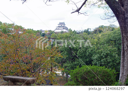 岡公園から眺めた和歌山城 岡公園から眺めた和歌山城 124068297