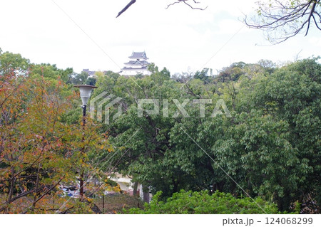 和歌山市岡公園から眺めた和歌山城 124068299