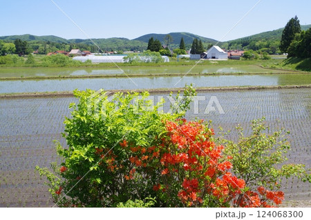 芸北八幡高原の田園風景 124068300