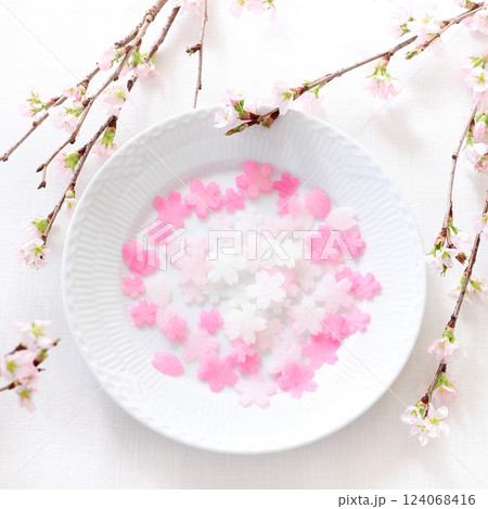 ゆかりで色付けしたさくらの花の型 のだいこん ちらし寿司の飾り ゆかりで色付けしたさくらの花の型 のだいこん ちらし寿司の飾り 124068416