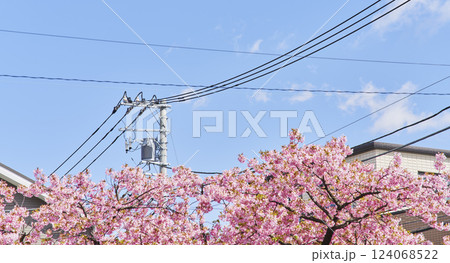 街中の送電線 124068522