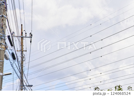 街中の送電線 街中の送電線 124068524