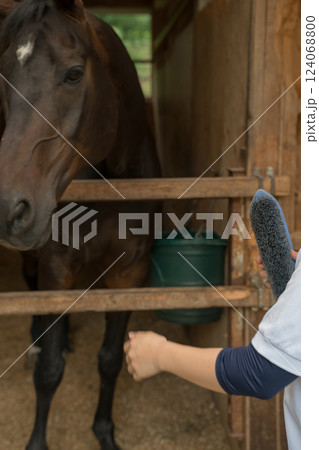 involved with horses 124068800
