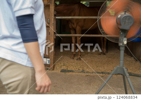 involved with horses involved with horses 124068834