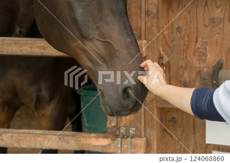 involved with horses involved with horses 124068860