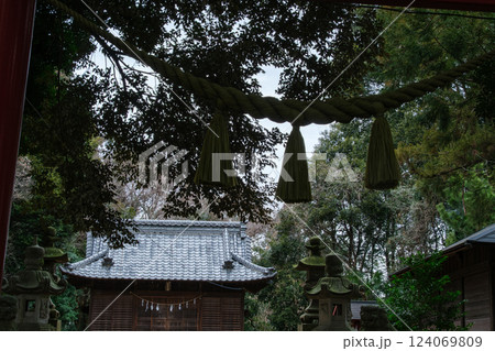 神社の森 124069809