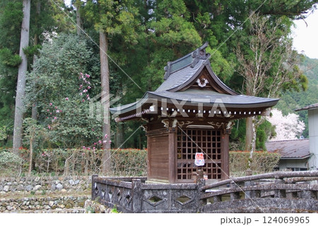 谷汲山華厳寺の春・4（岐阜県揖斐川町谷汲） 124069965