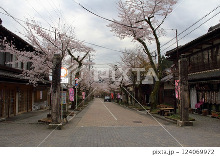 谷汲山華厳寺の春・23（岐阜県揖斐川町谷汲） 124069972