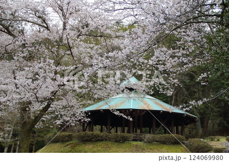 谷汲山華厳寺の春・19（岐阜県揖斐川町谷汲） 124069980