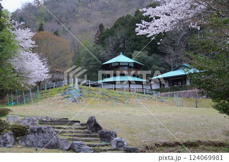 谷汲山華厳寺の春・20（岐阜県揖斐川町谷汲） 124069981