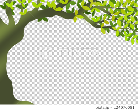 木をデザインしたフレーム 木をデザインしたフレーム 124070081