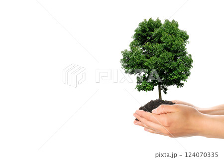 Earth Day, green tree in hands on white background, space for text Earth Day, green tree in hands on white background, space for text 124070335