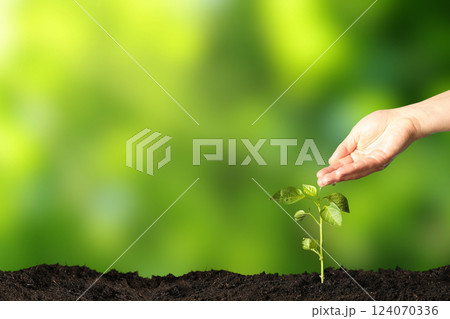 Earth Day, green sprout and hand with water on green background, space for text 124070336