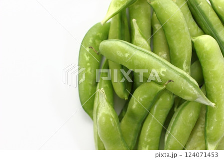 うすいえんどう、春の訪れを告げる 124071453