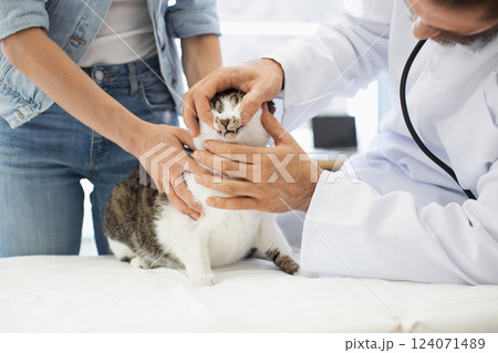 Veterinarian male adult examining cat mouth in animal clinic, assisted by cat's female owner Veterinarian male adult examining cat mouth in animal clinic, assisted by cat's female owner 124071489