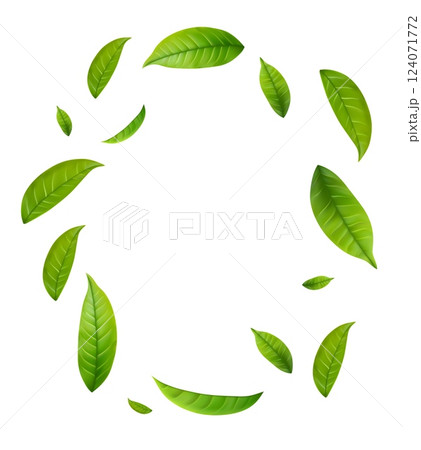 Green Floating Leaves 124071772