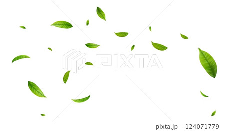 Green Floating Leaves Green Floating Leaves 124071779