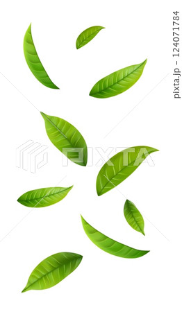 Green Floating Leaves 124071784