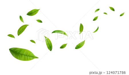 Green Floating Leaves Green Floating Leaves 124071786