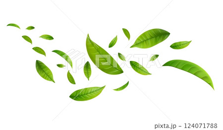 Green Floating Leaves 124071788