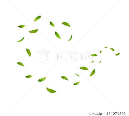 Green Floating Leaves 124071801