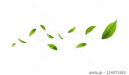 Green Floating Leaves 124071803