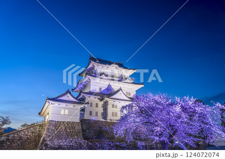 小田原城の夜景　ライトアップされた天守閣と夜桜【神奈川県・小田原市】 124072074