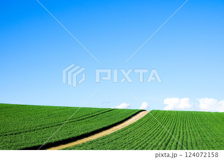 青空と雲と北海道美瑛町の初夏の風景 124072158