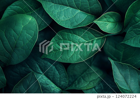 Green leaves background showing leaf veins texture 124072224