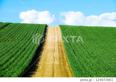 青空と雲と北海道美瑛町の初夏の風景 青空と雲と北海道美瑛町の初夏の風景 124072661