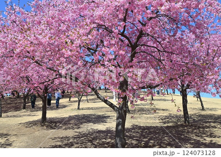 伊勢崎市みらい公園 伊勢崎市みらい公園 124073128