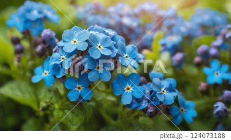 Close-up of vibrant blue flowers with green leaves on a soft blurred background. Close-up of vibrant blue flowers with green leaves on a soft blurred background. 124073188